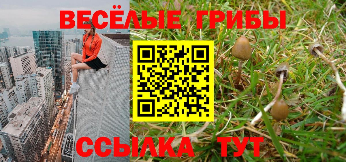 Псилоцибиновые грибы Psilocybine cubensis  Галлюциногенные грибы Magic Shrooms  Вход с VPN  Альметьевск 